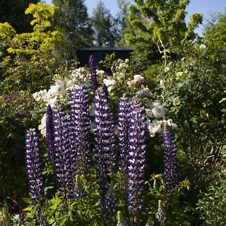 Вілла Tiny Away Benger Garden 2 By Tiny Away Millers Flat Екстер'єр фото